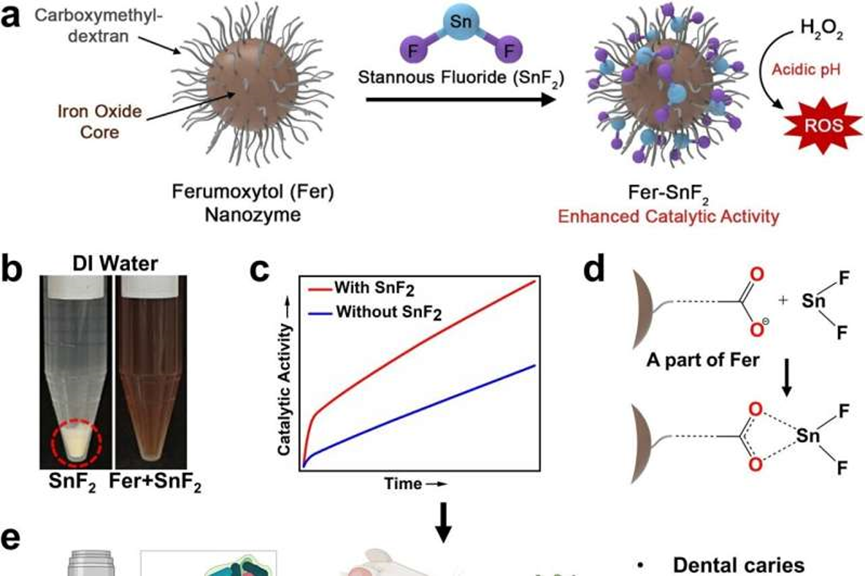 Combined treatment takes a bite out of tooth decay