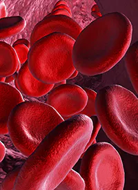 Cevidoplenib Elicits Platelet Responses in Persistent or Chronic Immune Thrombocytopenia 