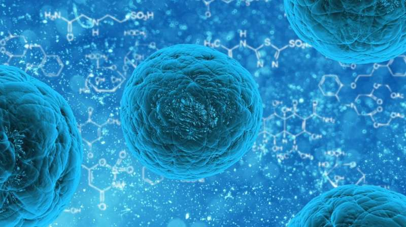 Researchers develop a gel for growing large quantities of neural stem cells 