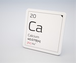 Bisphenol A blocks calcium channels in cell membranes