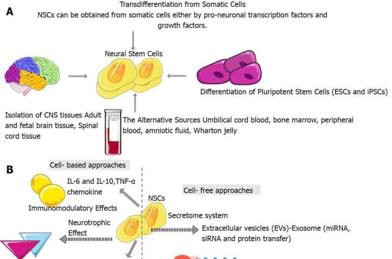 Neural stem cells for Parkinson’s disease management: Challenges, nanobased support, and prospects