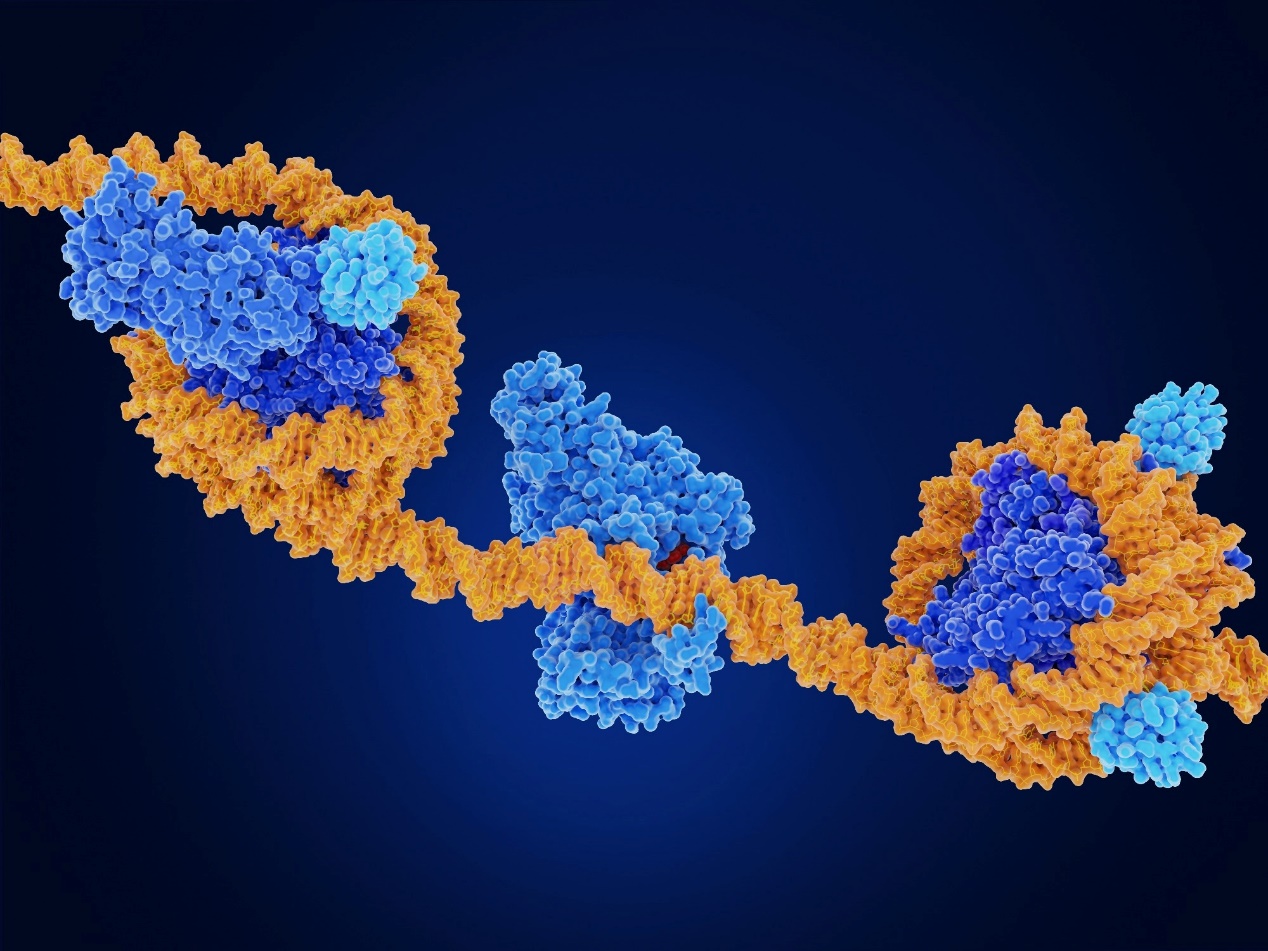 Study: Integrated environmental, lifestyle, and epigenetic risk prediction of primary gastric neoplasia using the longitudinally monitored cohorts. Image Credit: Juan Gaertner/Shutterstock.com