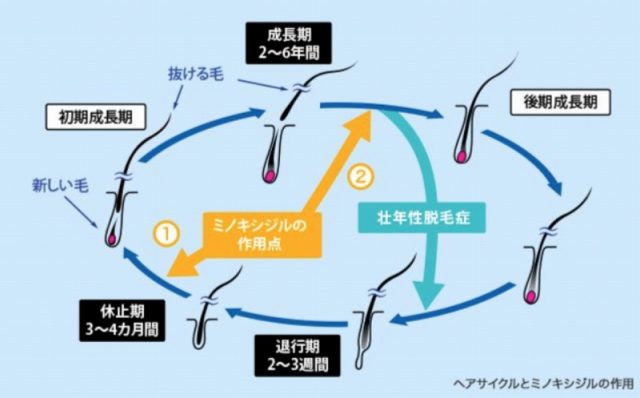 スクリーンショット-2022-08-17-8.54.51-640x398