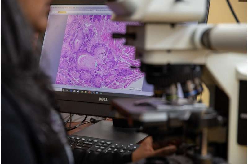 Aditi Bhattacharya, PhD, examines oral cancer using a microscope. Credit: Chuy Gutierrez