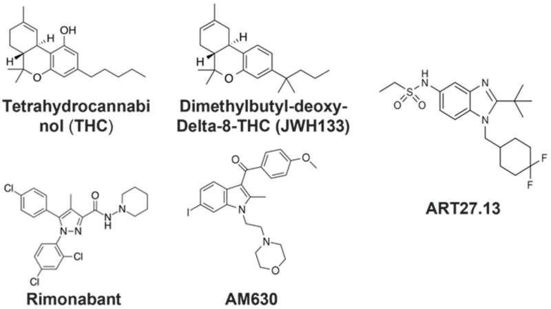 Structures of the cannabinoid receptor agonists/antagonists examined in this study. Credit: Pharmaceuticals (2023). DOI: 10.3390/ph16111580