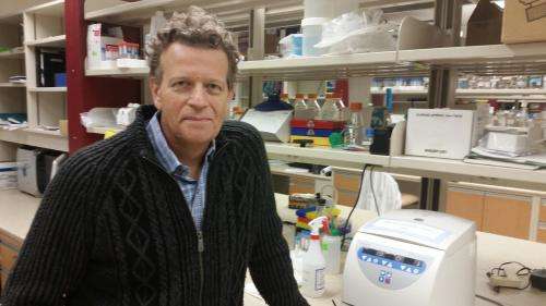 Andrew Mason in his lab. Credit: Faculty of Medicine & Dentistry, University of Alberta