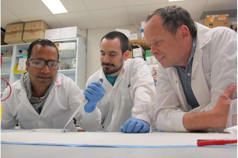 Arun Raturi, Tomas Guti&eacute;rrez and Thomas Simmen are co-authors of a University of Alberta study describing how a single protein has been discovered to slow the fast growth of tumour cells. Credit: Ross Neitz