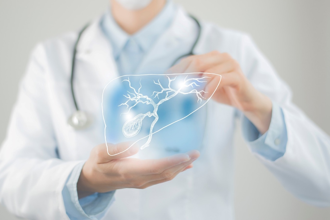 Study: Deep-learning enabled ultrasound based detection of gallbladder cancer in northern India: a prospective diagnostic study. Image Credit: mi_viri/Shutterstock.com