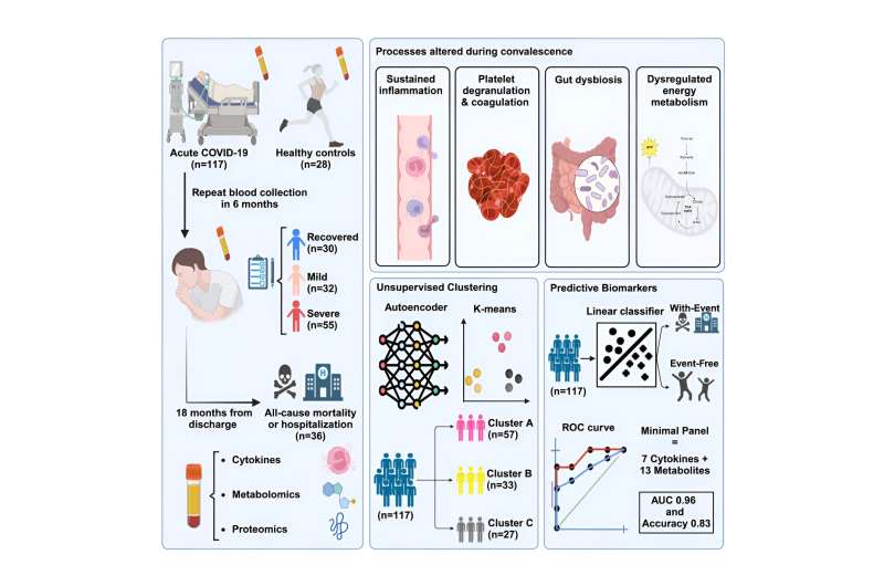 Graphical Abstract. Credit: Cell Reports Medicine (2023). DOI: 10.1016/j.xcrm.2023.101254