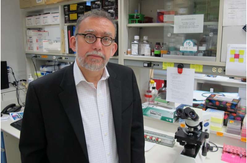 Dr. Harissios Vliagoftis in his lab at the University of Alberta. Credit: Ross Neitz