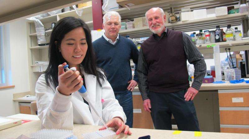 Drs. Thomas Hobman and Richard Rachubinski oversee the work of Ph.D. candidate Shangmei Hou at the University of Alberta. Credit: Faculty of Medicine & Dentistry, University of Alberta