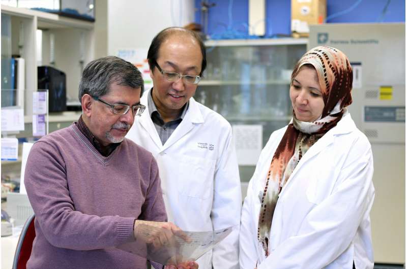 UAlberta researcher Jack Jhamandas and his team are testing a way to inhibit a protein called amyloid which is suspected of being a key player in the development of Alzheimer's disease. Credit: Melissa Fabrizio, University of Alberta