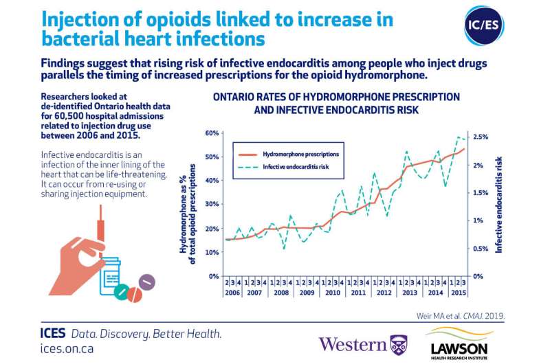 Findings suggest that rising risk of infective endocarditis among people who inject drugs parallels the timing of increased prescriptions for the opioid hydromorphone. Credit: ICES