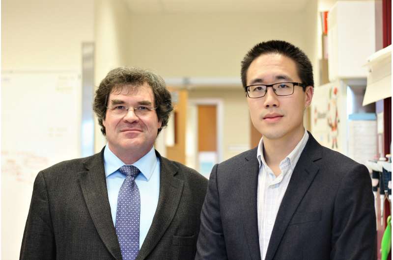 Drs. Michael Sawyer and Michael Chu. Credit: Melissa Fabrizio