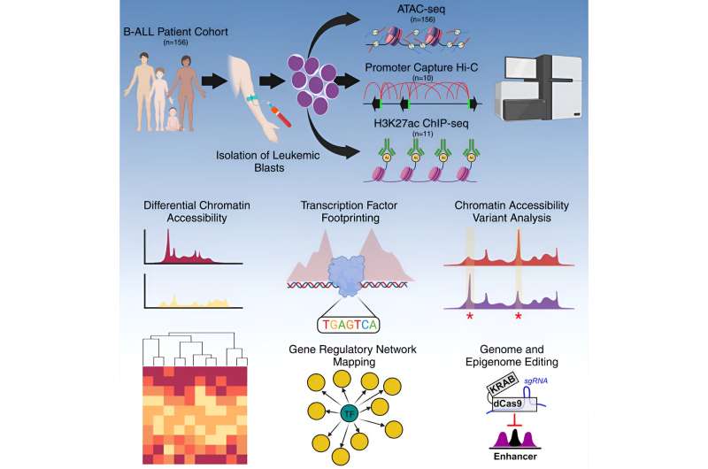 Robust chromatin map explains heterogeneity of pediatric acute lymphoblastic leukemia