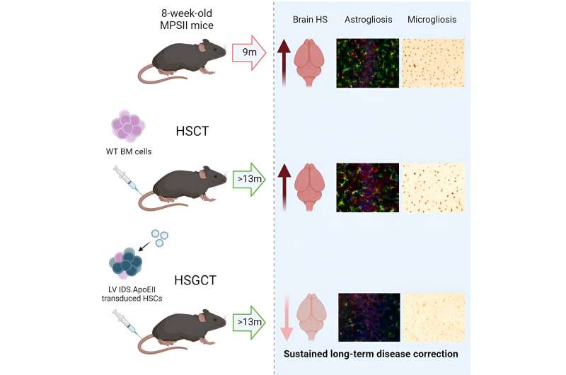 Groundbreaking gene therapy trial for Hunter syndrome opens