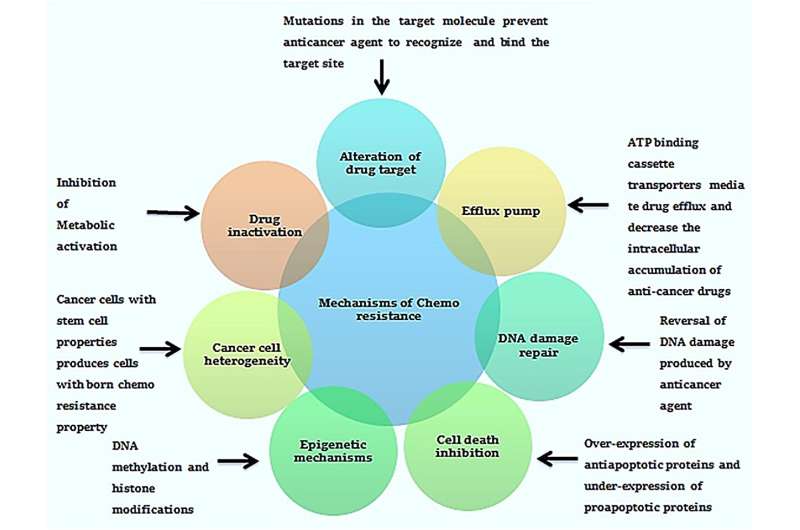 Breathing New Life into Old Medications: A Revolutionary Strategy Targeting Cancer Stem Cells