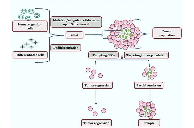 Breathing New Life into Old Medications: A Revolutionary Strategy Targeting Cancer Stem Cells