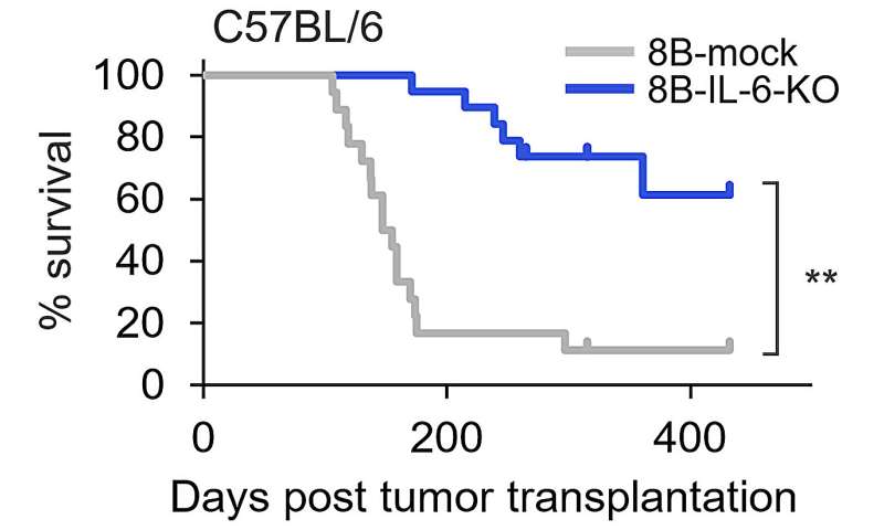 Cancer stem cells trigger macrophage aging