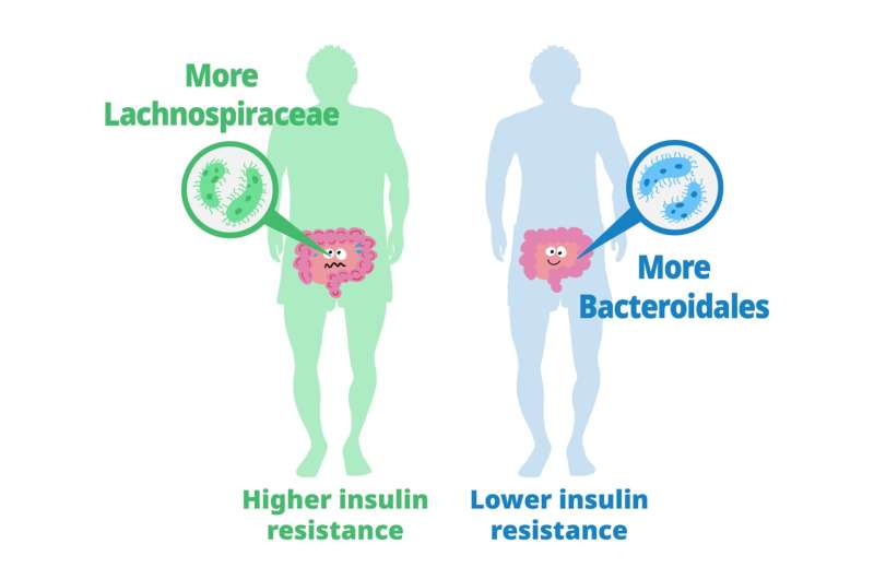 Bacteria treatment reduces insulin resistance, protects against diabetes