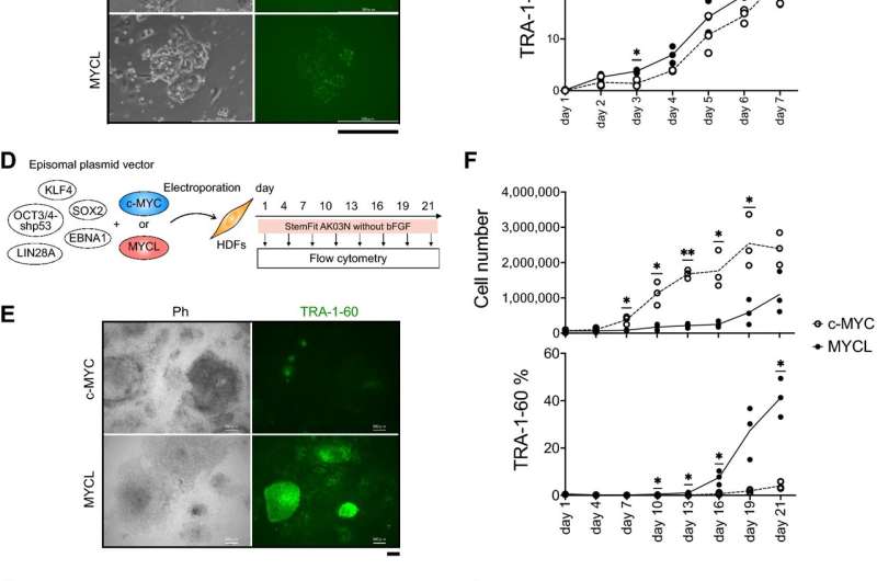 Protein domain structures affect the quality of stem cells