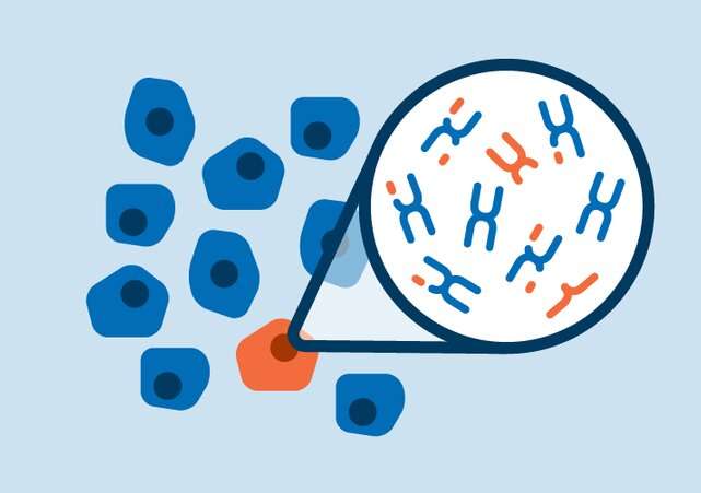 How chromosome imbalances can drive cancer