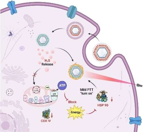 Gas-releasing adjuvant improves efficacy of photothermal therapy for cancer