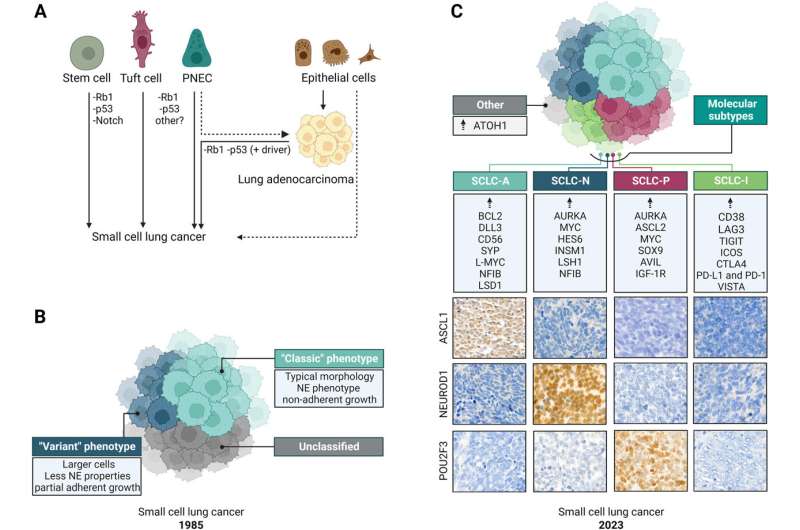 Significant progress in small-cell lung cancer research