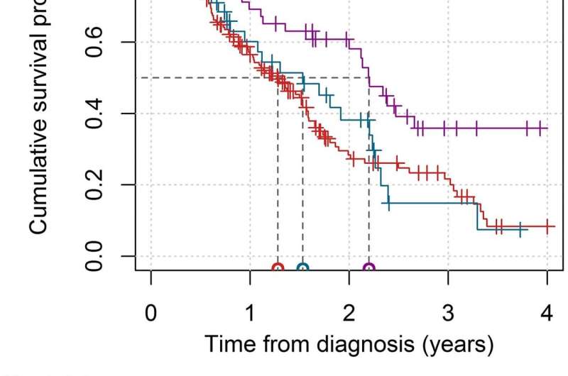 Overall survival in patients with lung adenocarcinoma harboring 'niche' mutations