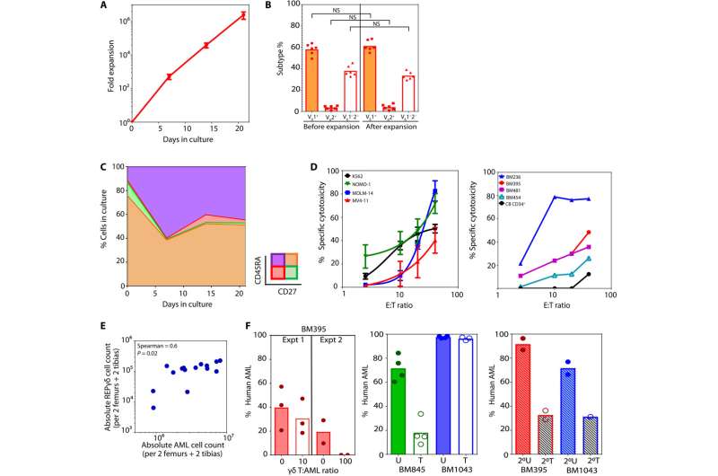 Umbilical cord white blood cells developed to advance cancer treatment