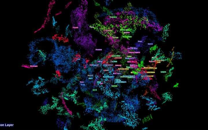 ORNL researchers develop 'multitasking' AI tool to extract cancer data in record time