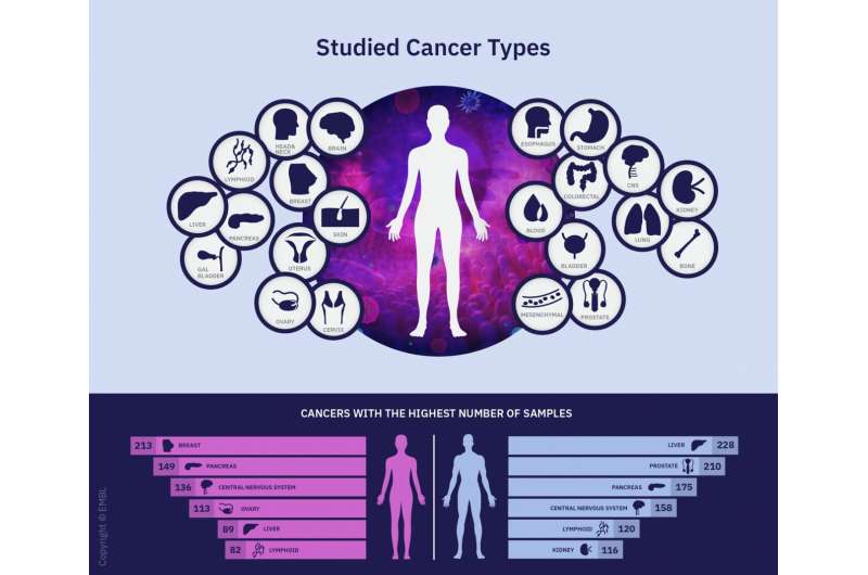 First comprehensive survey of virus DNA found within cancer cells