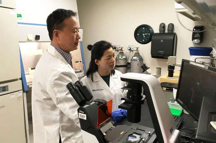 Protein could offer therapeutic target for breast cancer metastasis