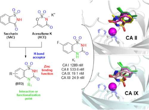 Saccharin derivatives give cancer cells a not-so-sweet surprise