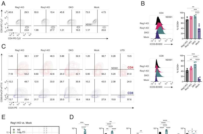 Study offers a potential strategy to improve T cell therapy in solid tumors