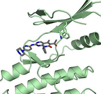 Structural analysis reveals an unexpected mechanism for a cancer drug