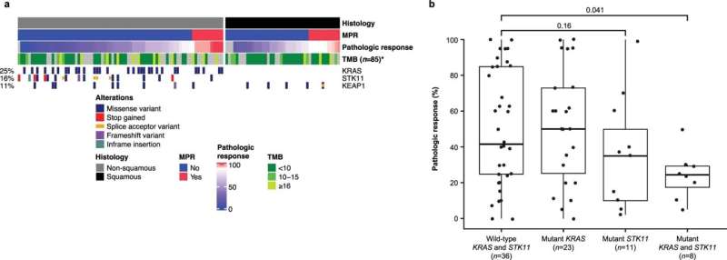 Immuno-oncology treatment pre-surgery safe and effective option for localized non-small cell lung cancer