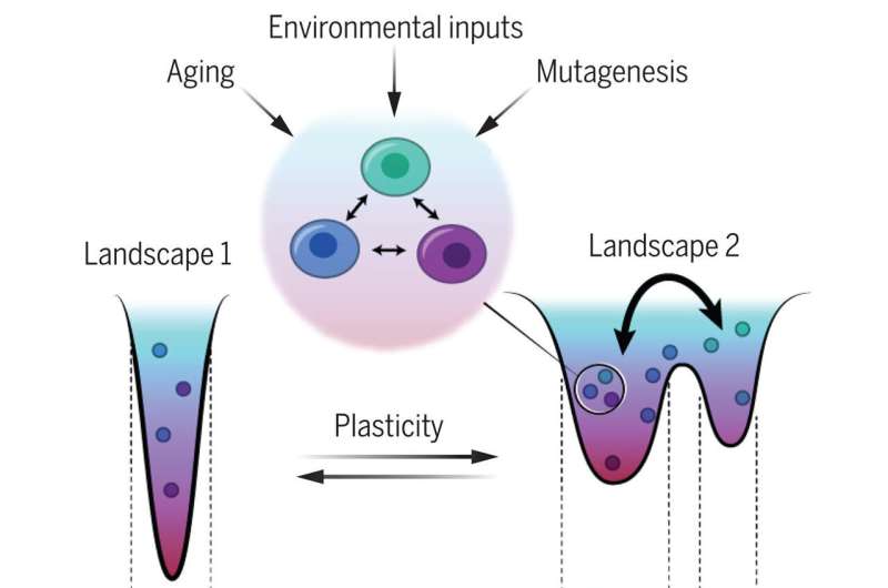 The convergence of epigenetics and math to predict and intercept cancer cell behavior