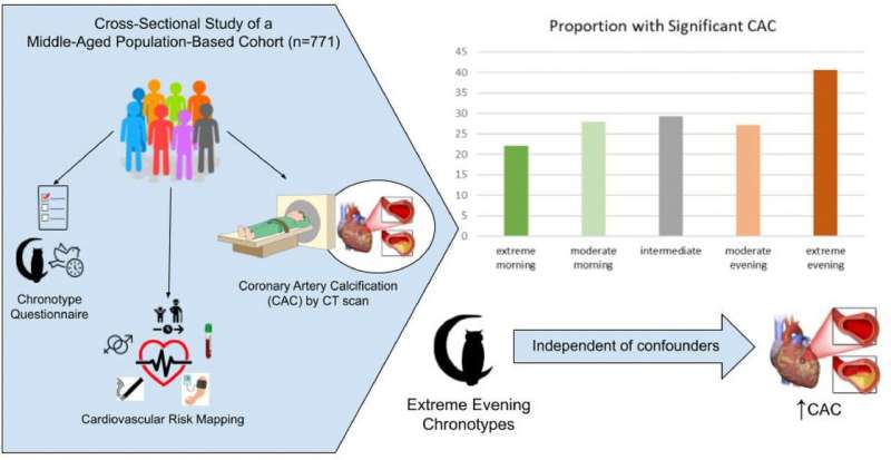 Artery calcification more common in night owls, shows study