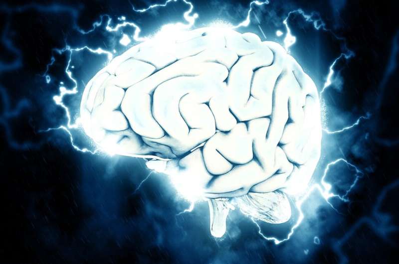 Brain distributes signals differently before real and imaginary movement: Study