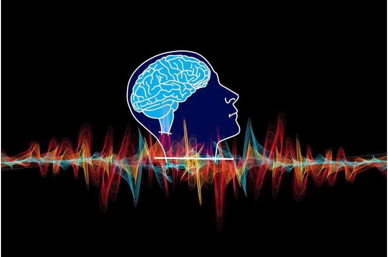 Alpha, beta, theta: What are brain states and brain waves? And can we control them?