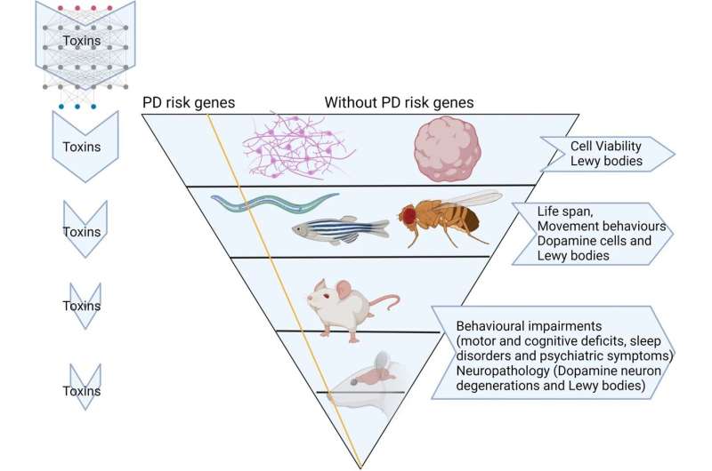 A step-by-step approach for testing pesticides for their possible role in Parkinson's disease