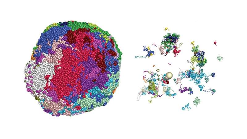 Smell's sensory magic emerges from mechanism that tailors each of nose's sensory cells, mouse study suggests