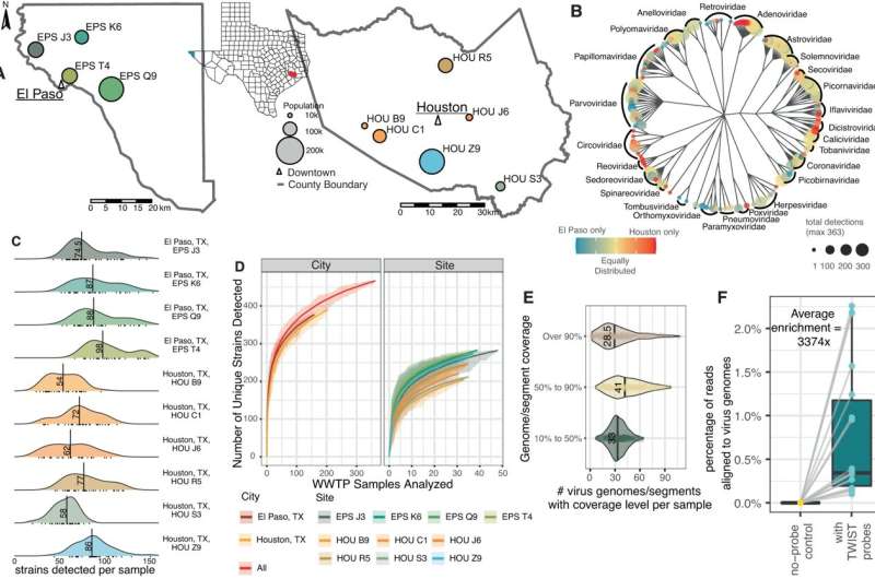 Wastewater sequencing reveals community and variant dynamics of the collective human virome