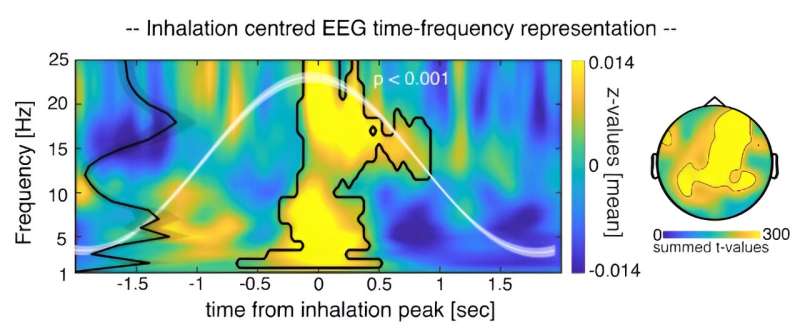 Breathing patterns during sleep found to impact memory processes