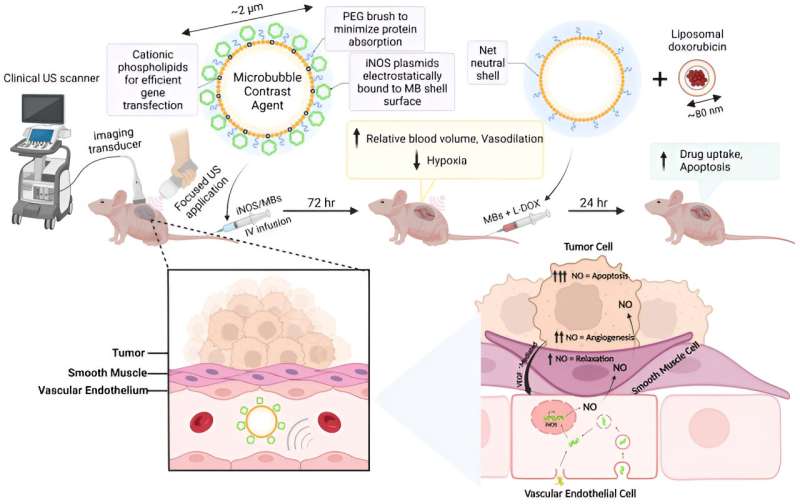 Team develops gene therapy to 'pre-treat' neuroblastoma tumors