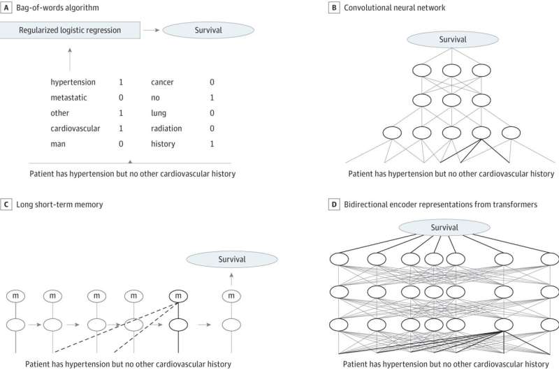 AI predicts cancer patient survival by reading doctor's notes