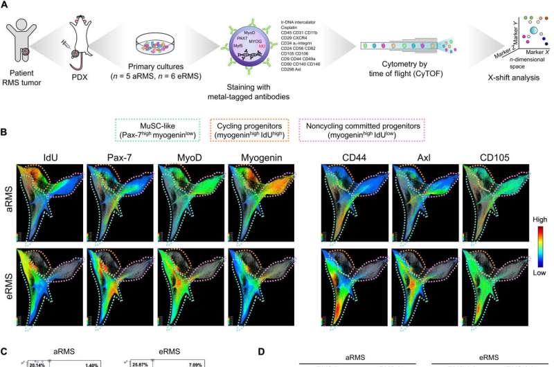 Identifying drug target candidates to treat pediatric rhabdomyosarcoma (RMS) tumors