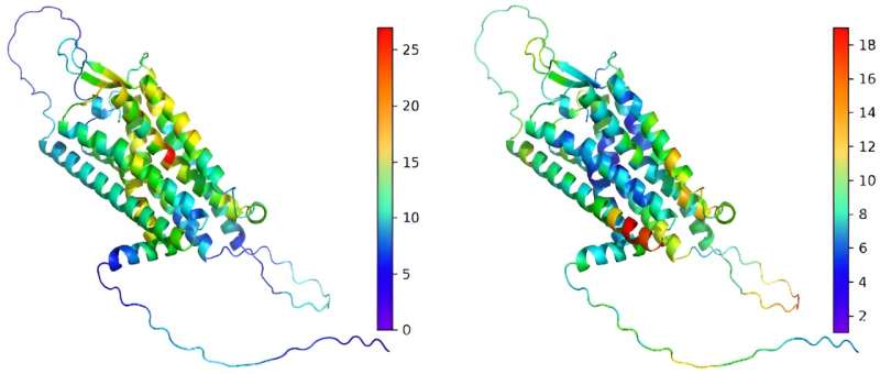 Unlocking the human genome: Innovative machine learning tool predicts functional consequences of genetic variants