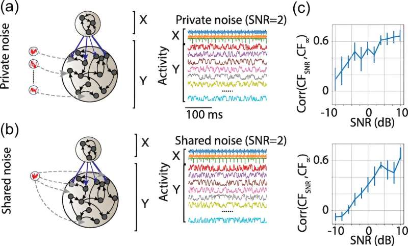 Model that maps relationships between neurons could help make deep brain stimulation treatment more viable